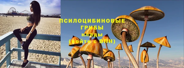 ешки Семикаракорск