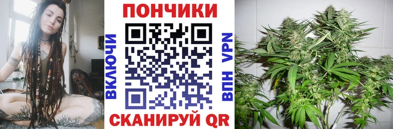купить закладку Салаир Конопля гибрид